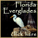 Everglades